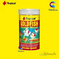 غذای گرانول روزانه و رنگ گلدفیش کالر تروپیکال
