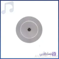 بلندگو سقفی جی تی آر مدل JTR JM-520T