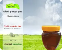 عسل وحشی کوهستان