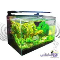 آکواریوم با سامپ داخلی و نور CB-500F سوبو
