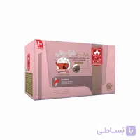 چای کیسه ای دم کردنی ارل گری چای دبش بسته 10 عددی