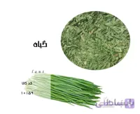 گیاه تره
