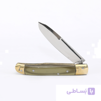 چاقوی میوه خوری دسته صدفی متوسط