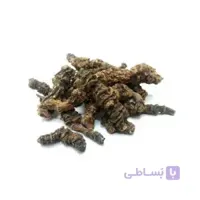 اسارون