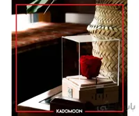 باکس رز جاودان موزیکال کوکی