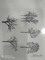 ترنسفر درخت