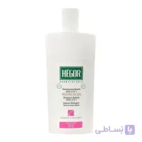 شامپو بالسام 2 در 1 براق کننده و حالت دهنده پروتئین ابریشم هگور - HEGOR