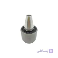 بوش سگدست عقب تالیسمان