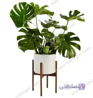 برگ انجیری طرح SB01