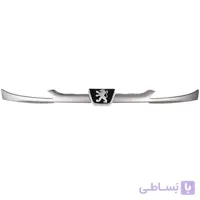 جلو پنجره 206