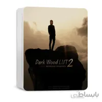 رنگ سینمایی Dark Wood LUT 2