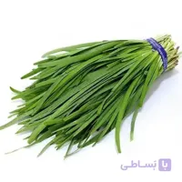بذر تره کد 360668