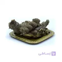 ریشه ایرسا