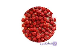 گیاه کاکنج