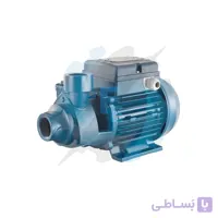 پمپ پنتاکس یک اسب مدل PM80 (اصل ایتالیا) تک فاز