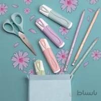 ماژیک هایلایت پاستلی مپد