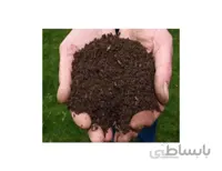 پیت ماس – Sphagnum