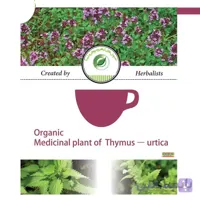 دمنوش گیاهی تیموس – ارتیکا (کاهش فشار خون) ا Organic Medicainal Plant of Thymus - urtica
