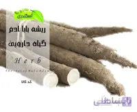 گیاه ریشه بابا ادم