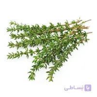 بذر مرزنجوش