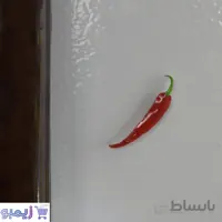 مگنت فلفل قرمز
