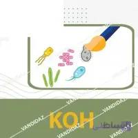 معرف KOH