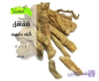 گیاه شقاقل