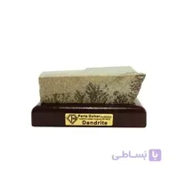 سنگ راف شجر فسیلی (دندریتی ) کد 3362
