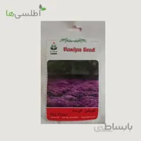 بذر آویشن خزنده
