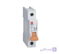 فیوز مینیاتوری LS تک فاز 25 آمپر تیپ C