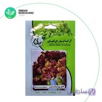 بذر کاهو پیچ فرانسه قرمز آرکا بذر