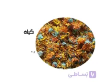 گل همیشه بهار