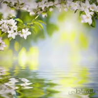 پوستر دیواری کد 934572