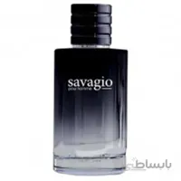 ادوپرفیوم مردانه Savagio حجم 100میل بایلندو ا Bailando Savagio Eau De Parfum For Men 100ml