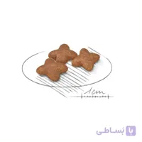 غذای خشک سگ رویال کنین مدل مینی ادالت | Mini Adult ا Royal Canin Mini Adult