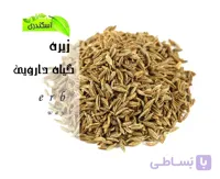 زیره سیاه هندی
