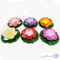 گل نیلوفر مرداب با جاشمعی
