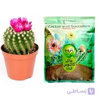 خاک مخصوص کاکتوس و سوکلنت یک لیتری برند گیلدا