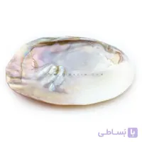 صدف مادر (mother of pearl)