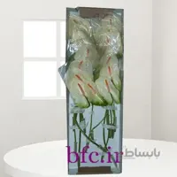 آنتریم