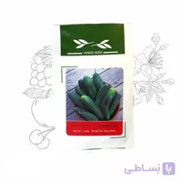 بذر خانگی خیار اصفهانی
