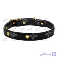 ست قلاده گردنی و لیش چرم کد 13317
