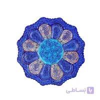 بشقاب 20 سانتی میناکاری