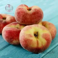 نهال هلو انجیری