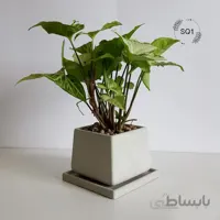 گلدان بتنی بزرگ کد SQ1