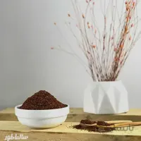 پول بیبر