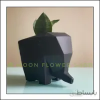 گل سانسوریا پاکوتاه سبز همراه با گلدان بتنی طرح فیل ا Sanseveria with concrete vase