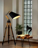 اباژور ایستاده افرانوس مدل کرین a