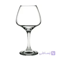 جام پاشاباغچه مدل ریسوس کد 440287
