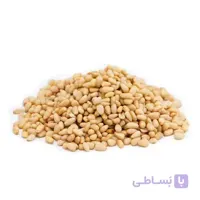 مغز چلغوز